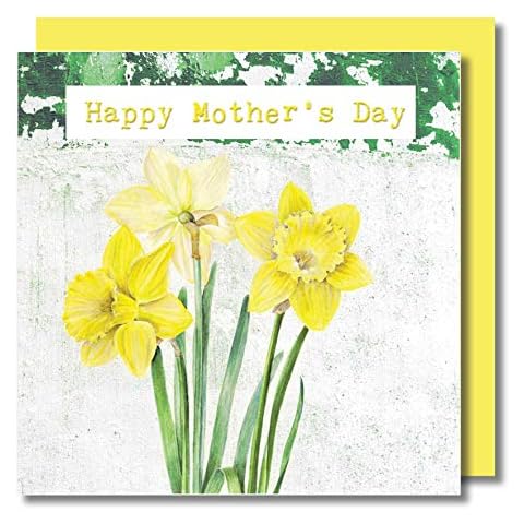 Mothers Day Greeting Card - Daffodils - Modern Floral Masterpiece with Contrast wash Background - Blank Inside Cover