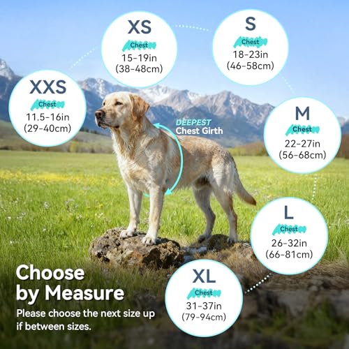 VIVAGLORY Cozywrap Wintermantel Hund, Hundejacke mit Geschirr Öffnung, Fleecejacke Hund Hundejacke, Reflektierend & Verstellbar Fleece Softshell, S, Türkis