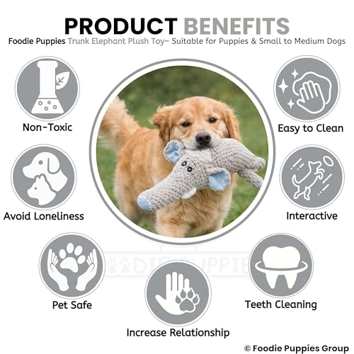 Image of Foodie Puppies Interactive Dog Squeaky Plush Toy (Grey Elephant) | Cotton-Stuffed, Chew Toy for Teething, Cuddling, Playing & Training for Puppies and Small to Medium Dogs