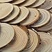 50 Pcs Natural Wood Slices Unfinished Predrilled Round Discs Hole Wooden Circles with 40 Feet Natural Jute Twine 2.4