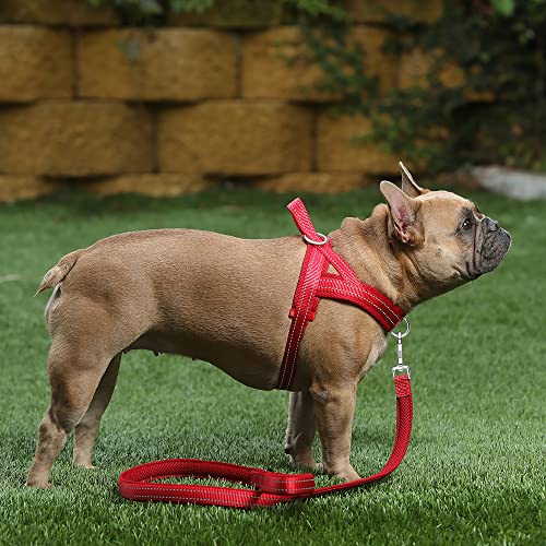 Image of Plutus Pet No Pull Dog Harness for Medium Sized Dog, Breathable Mesh Padded