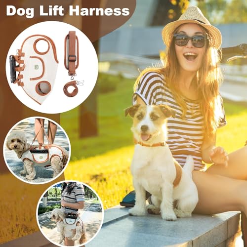 Hundeaufzugs Schlinge Stützkabelbaum - Verstellbare Haustierträgerweste für kleine und mittlere Hunde oder Katzen | Mobilitätshilfe für Gehen, Reisen, Camping, Picknick- und Roadtrips im Freie
