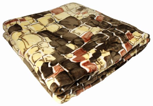 Everydayspecial Super Soft Micro-Plush 2Ply Polyester Blanket Queen - Brick