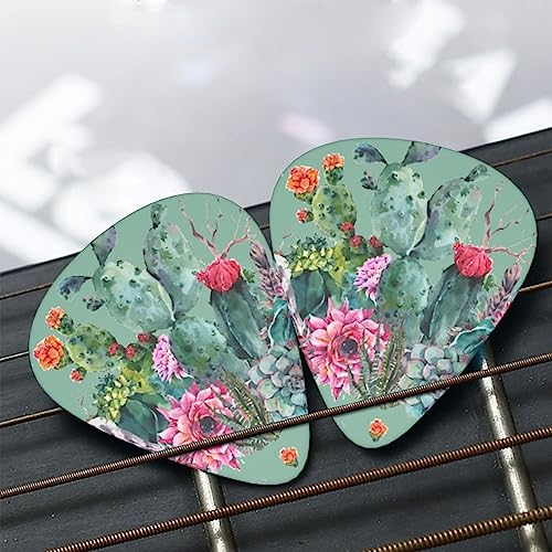 Médiator chic exotique cactus 12 médiators tendance et durables dans une boîte pour ukulélé guitare électrique basse - Les Beatles, Paul McCartney, John Lennon, RIngo Starr, George Harrison Médiator chic exotique cactus 12 médiators tendance et durables dans une boîte pour ukulélé guitare électrique basse – Image 8