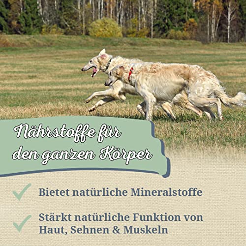 Krauterie Ascophyllum nodosum Hund, Einzelfuttermittel für Hunde (100 g), Seealgenmehl Kelp Pulver in Spitzenqualität