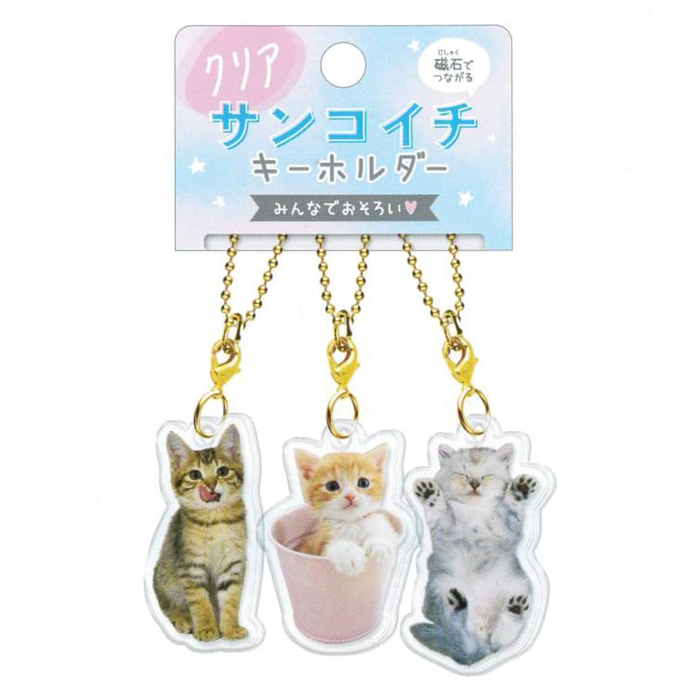 Amazon.co.jp: サンコイチキーホルダー(ねこ実写)15220 おそろい/友達