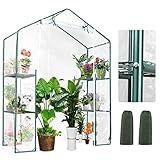 REAWOW Walk in Greenhouse Mini Greenhouse with All-Steel Frame and Screw Fixation Garden Greenhouse