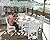 AMERLIFE 5 Piece HDPE Outdoor Dining Tables and Chairs, All-Weather Patio Outdoor Furniture with Umbrella Hole, Round Table for Garden, Backyard, Seaside, White