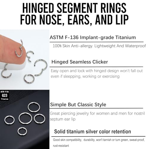 2Pcs Women Men Titanium Nose Rings Hoops 20G 18G 16G Hinged Nose Clicker for Nostril Septum Cartilage Helix Tragus Conch Daith Rook Lip Ear Lobe Piercings Diameter 6mm/7mm/8mm/9mm/10mm/12mm Sliver-Gold-Black-Rose Gold4