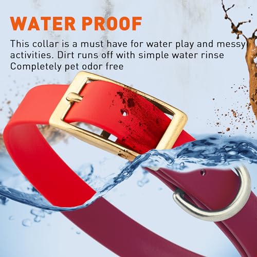 Image of Viper Biothane Heavy Duty Waterproof Dog Collar Strong Coated Nylon Webbing w /Solid Brass Hardware Odor-Proof Easy to Clean High Performance Fits Small Medium or Large Dogs, Cherry Red