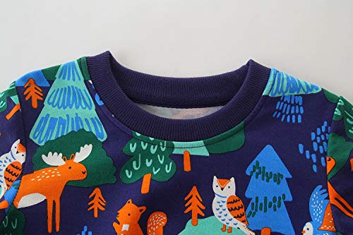 Image of AIWUHE Toddler Cotton Sweatshirt Boys Girls Pullover Long Sleeve Tops 2-6Y | Tops Blouse, Cotton T-Shirt, Fall Winter Clothes