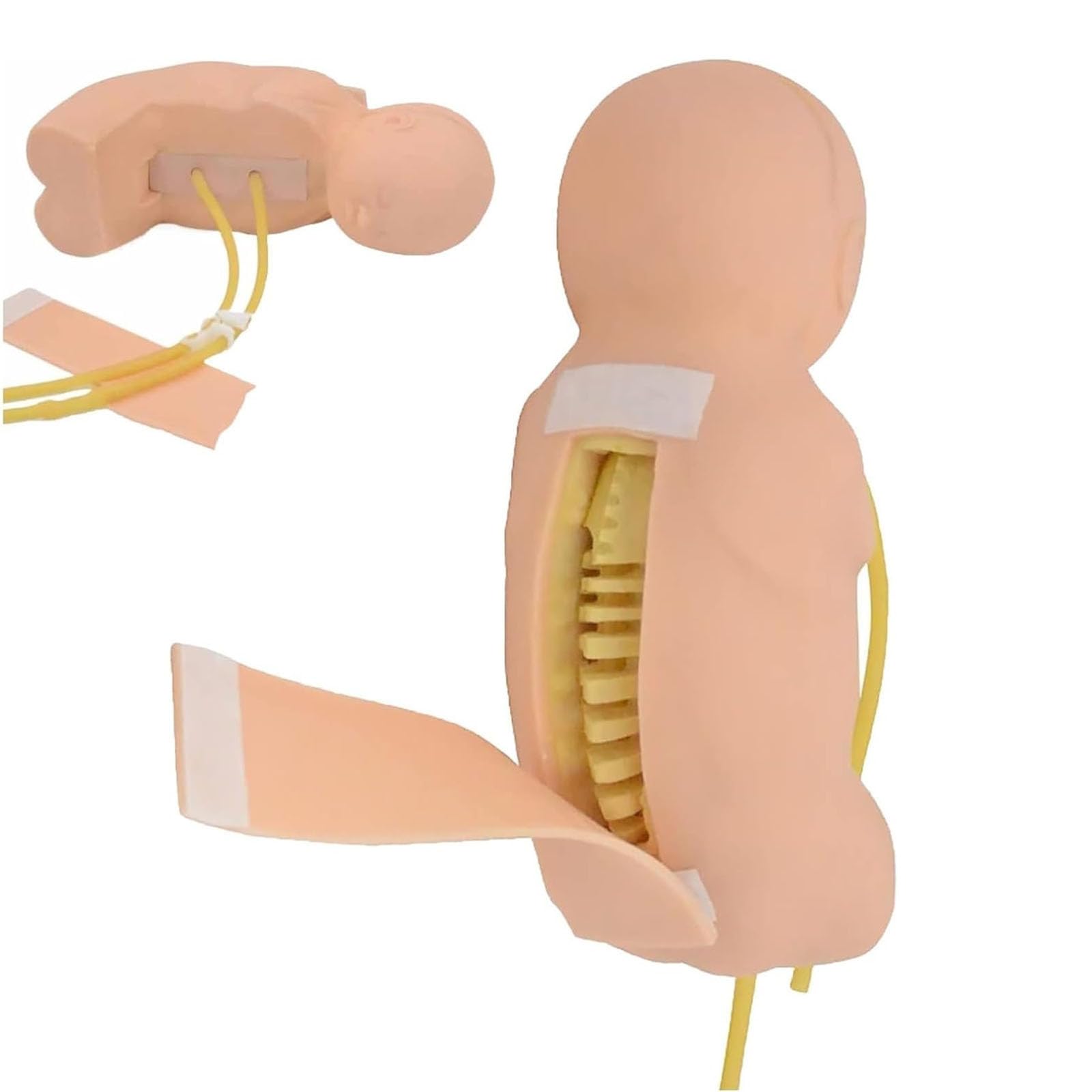 Modello per Puntura Lombare Neonatale, Simulatore Didattico per Laddestramento alla Puntura Lombare, Modello di Simulazione 1:1 per La Valutazione E Laddestramento, per Medici, Infermieri,