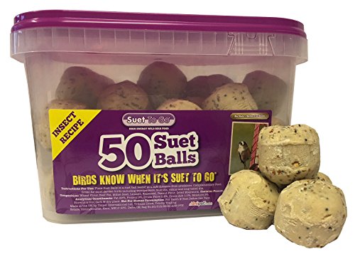 Preisvergleich Produktbild Suet To Go 5025709010094 Talg-Insekten-Bälle