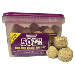 Suet To Go Insect Balls in Tub Wild Bird Treat, 50 x 90 g
