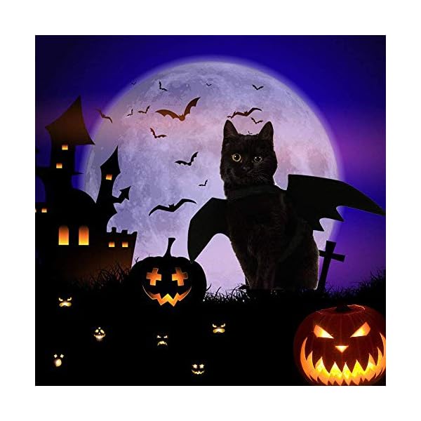 Pet cat bat wings for halloween, cosplay bat wing costume decoration for puppy dog cat - image 8