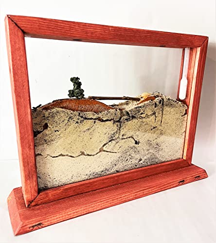 Classic Retro Hand Made Wood Framed Ant Farm for School Science fairs Projects. Ants, Soil, Food Included. Order Today for Your Free Ant Coffee Mug !