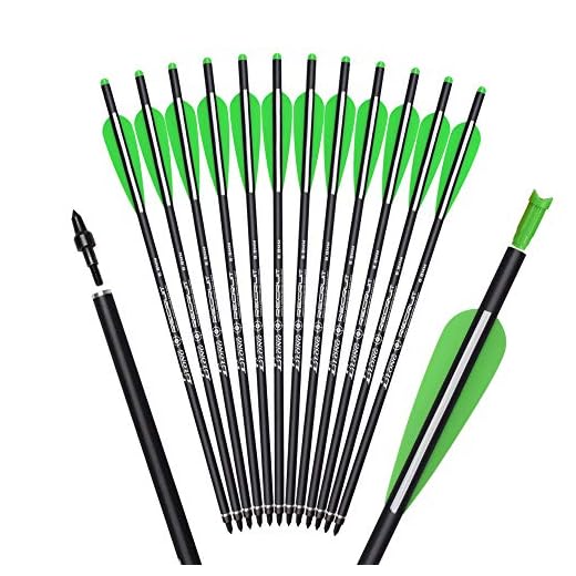 Crossbow Bolts Carbon Arrows 16 Inch Hunting Archery Bio Crossbow Arrows with Moon Nocks 100 Grain Removable Tips (Pack of 12)