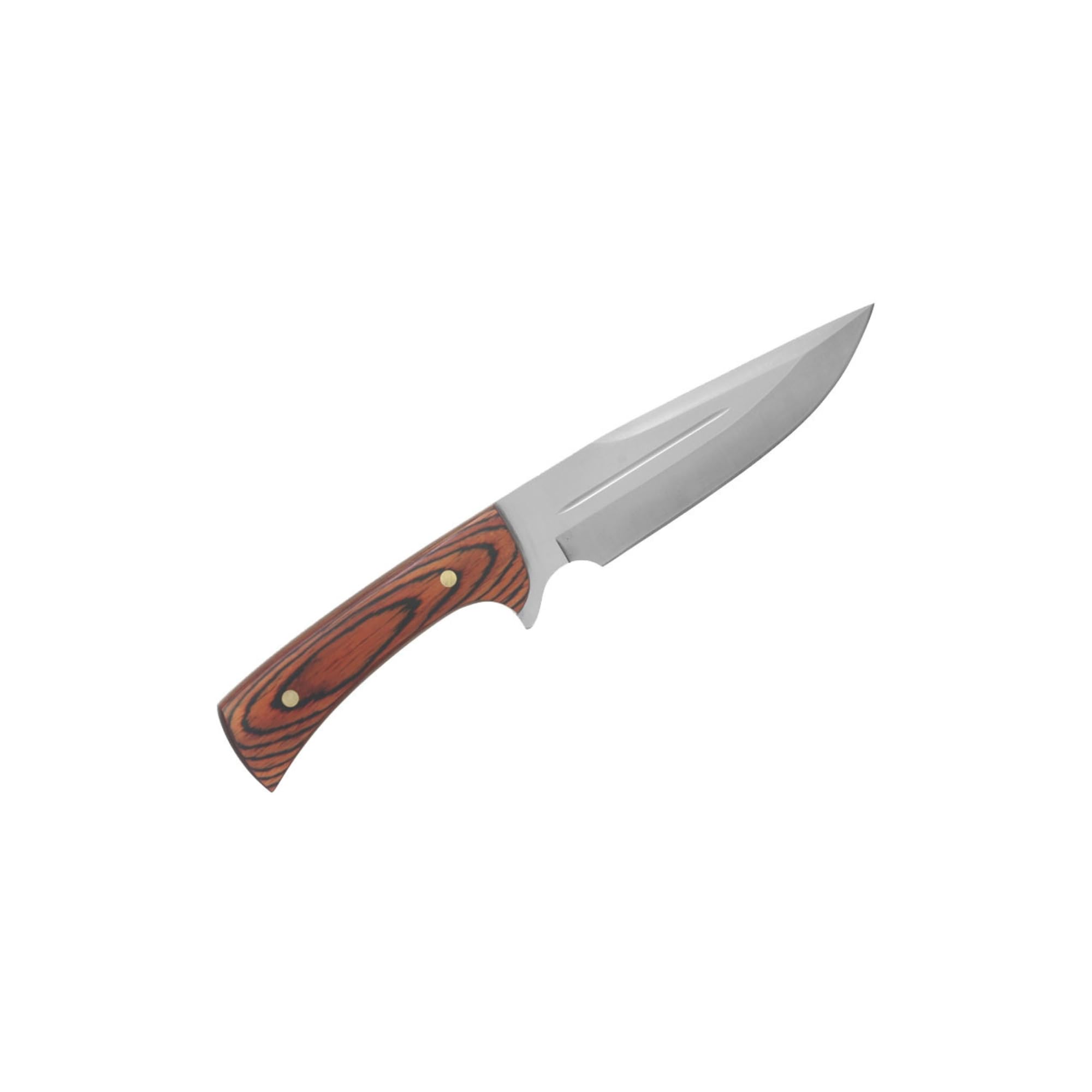 Muela JABALI-17 E Cuchillo Caza. Hoja fija 17cm. Acero MoVa y Mango de Madera Coral. Fabricado en España | Ideal para Caza, Montería, Rececho, Pesca,Supervivencia, Outdoor y Bushcraft | LO TRINCO YO