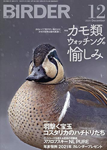 無料電子書籍アプリ BIRDER(バーダー)2020年12月号 カモ類ウォッチングの愉しみ バイ