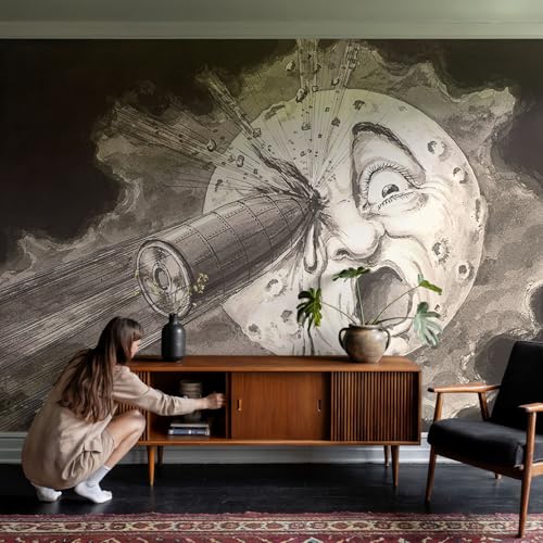 Papier peint intissé colle incluse 250x250 cm pour masquer les défauts du mur salon
