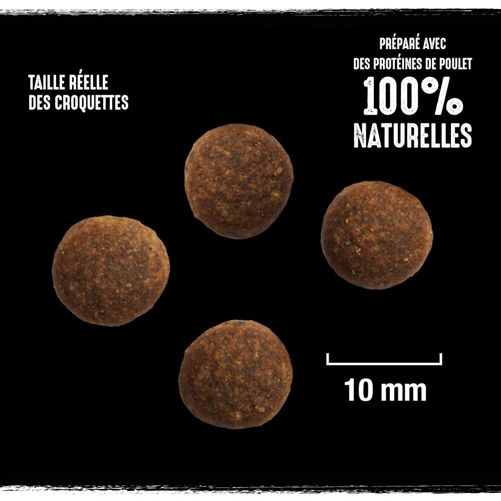 CRAVE Croquettes pour Chien Adulte à la Dinde et au Poulet - 1 sac de 7kg - Nourriture Sèche Sans Céréales, avec un Haut Niveau de Protéines