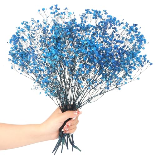Dried Baby's Breath Flowers Bouquet Natural Dried Flowers Baby's Breath Real Gypsophila Branches for Wedding Table Vase Party Garden DIY Wreath Floral Home Decor(Sapphire blue)
