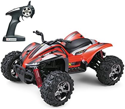 Suboo RC Car High Speed 10MPH Off Road 1：24 Scale Fast Electric 2.4GHz Remote Control Truck
