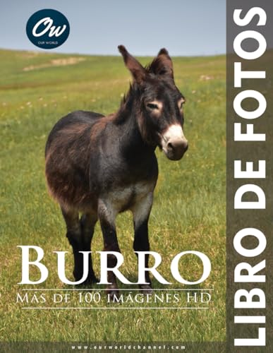 Burro: Libro de fotos Burro: Libro de fotos