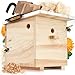BEESI Hummelhaus groß inkl. Nistmaterial I Kapok, Nistkarton,...