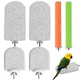 Perchoirs Naturels pour Oiseaux, 6 Pièces, Jouet pour perruches