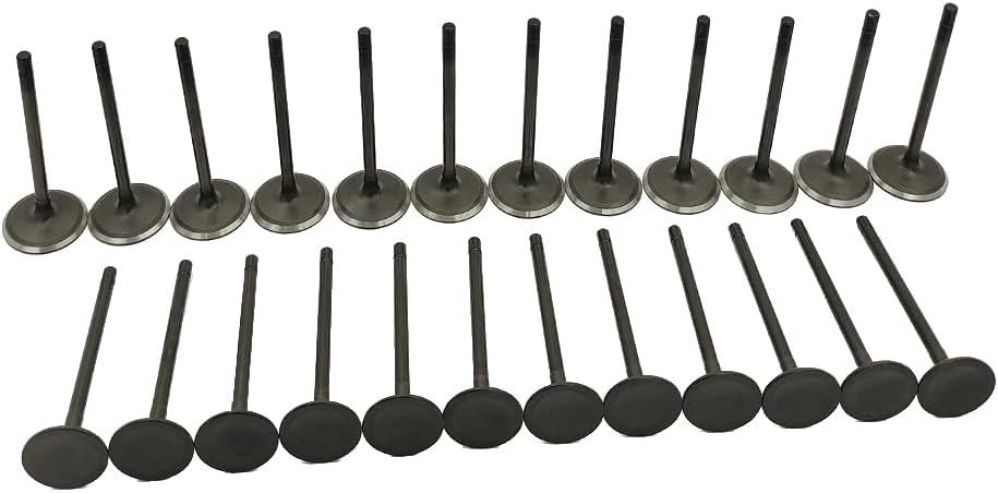 Tokinng 24Pcs Engine Intake & Exhaust Valves Kit Fits for 2004-2011 Chevy GMC Pontiac Saturn Buick Cadillac CTS 3.6L DOHC, Replaces 12610931, 12621548
