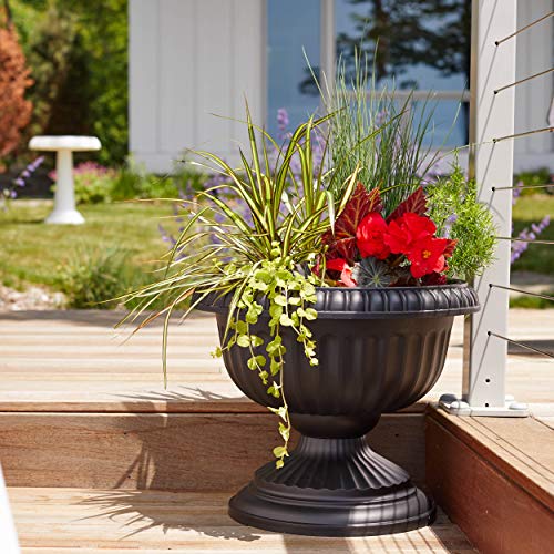 Bloem Gu18-00 Grecian Urn Planter, 18", Black #TOP2