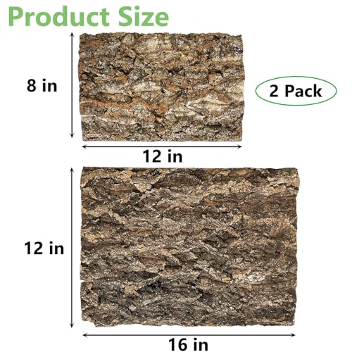 Apatal-Cork-Bark-Perch-for-Birds-2-PCS-Natural-Cork-Chewing-Toy-Flat-Budgies-Bark-Seat-Board-Wood-Bark-Background-Decor-Panel-Birdcage-Accessories-for-Parakeet-Lovebirds-Cockatiels-Conures