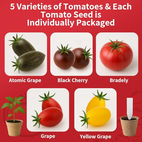 5 Tomato & Tomatillo Garden Seeds Variety Pack - Non-GMO Heirloom Tomato & Tomatillo Seeds with Planting Tools, All-in-One Growing Kit for Christmas Gift & Indoor Home Gardening - Thumbnail 4