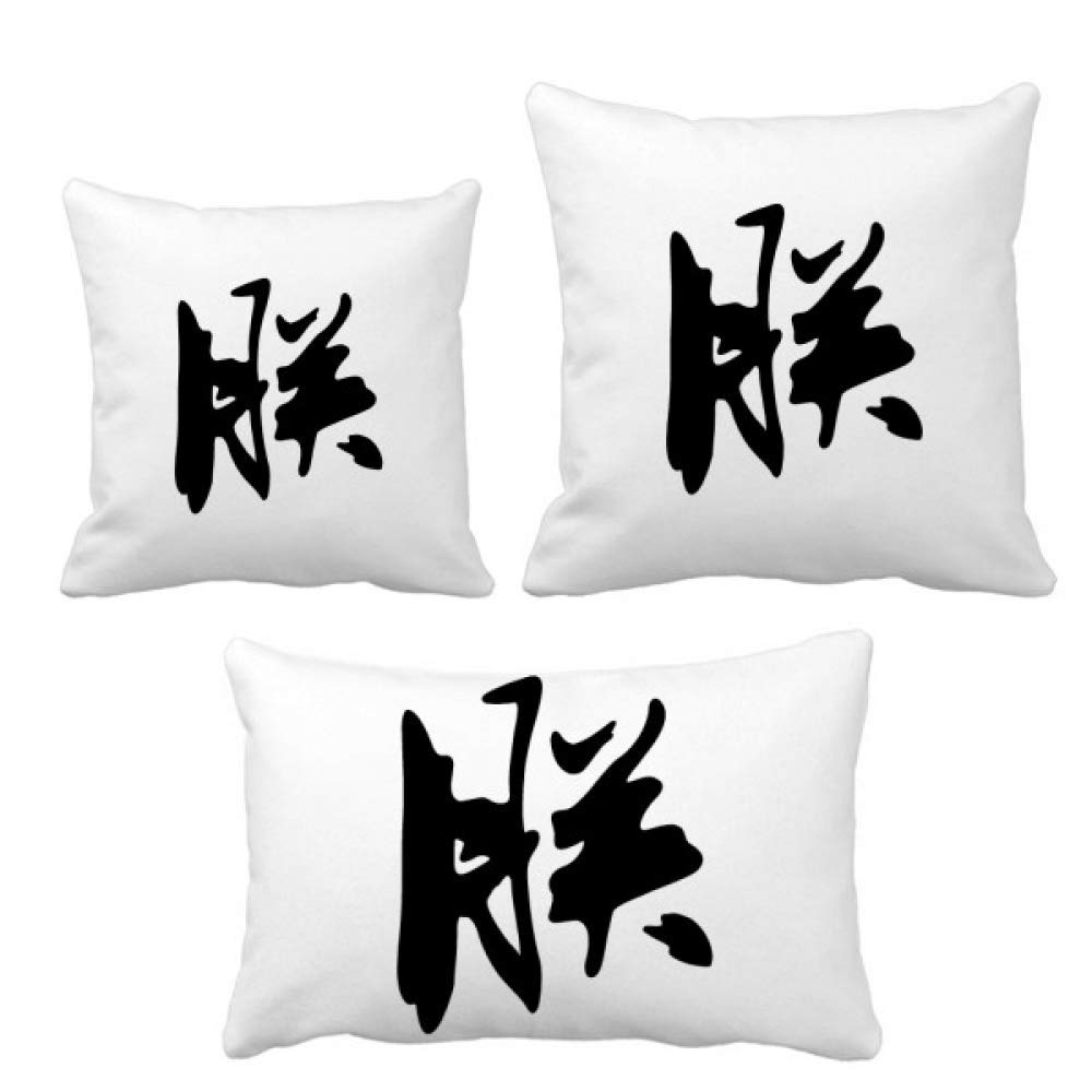 Parure de coussin empereur chinois I idee cadeau original culture