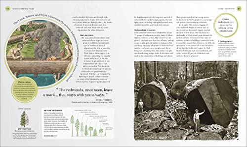 The Tree Book: The Stories, Science, and History of Trees - Image 4