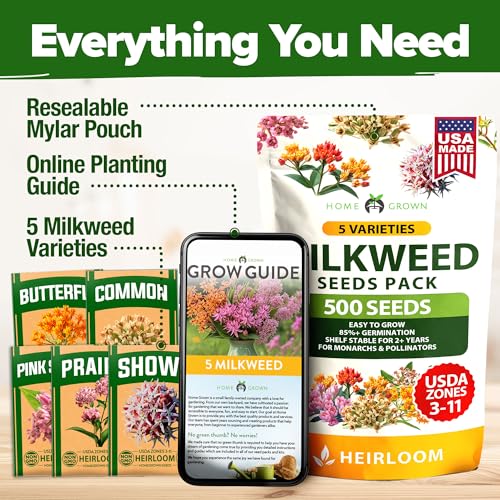 Image of HOME GROWN Milkweed Flower Seeds - 500+ Heirloom Perennial Wildflower Seeds (5 Individual Varieties) Supports Monarch Habitat, Grows in Zones 3-11 (Asclepias syriaca)