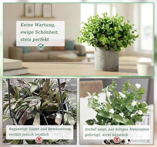 Suetou Lot de 5 mini plantes artificielles Langue de serpent Agave Succulent Claw Aloe, Plantes artificielles pour chambre à coucher, bureau Décoration – vue 4