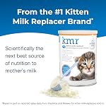 Pet-Ag KMR Kitten Milk Replacer Powder - 12 oz - Powdered Kitten Formula with Prebiotics, Probiotics & Vitamins for Kittens Newborn to Six Weeks Old - Easy to Digest - Image 2