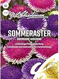Sommeraster Moonshine Mischung, N.L. Chrestensen Blumensamen Mischung für Garten und Wiese