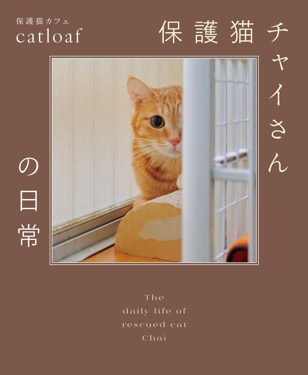 保護猫チャイさんの日常      Single Issue Magazine – February 3, 2025