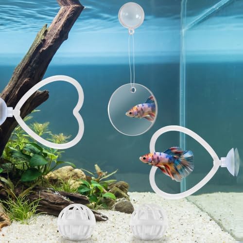 Betta Fish Enrichment Toys Betta 물고기 운동 링 거울 세트 2세트 — 사진 6