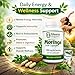 Moringa Powder Capsules with Rich Moringa Pure (180 Capsules), Health, Natural Supplement