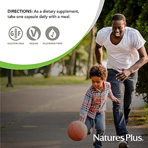 Naturesplus Ultra One Iron Free - 90 Easy To Swallow Capsules - High Potency Once Daily Multivitamin & Mineral Supplement - Natural Energy - Vegetarian , Gluten-Free - 90 Servings #TOP5