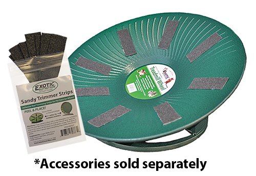 Metal Flying Saucer Wheel For Chinchillas - The 14" Treadmill Wheel, Black - Chinchillas, Prairie Dogs, Rats, Hedgehogs, Sugar Gliders, Squirrels, Degus, Hamsters & Other Small Pets #TOP4