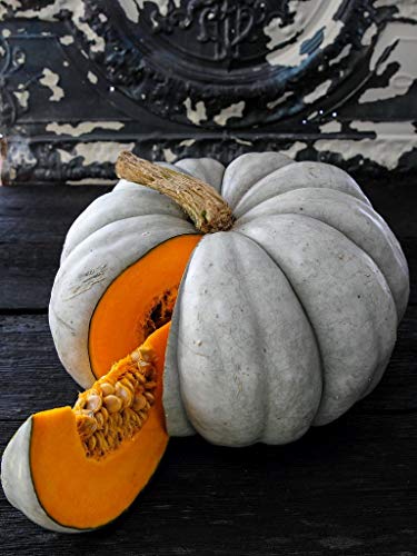 Jarradale Pumpkin Seeds For Planting, Pale Green Color, (Jarrahdale) 10 Heirloom Seeds, (Isla's Garden Seeds), Non Gmo Seeds, Botanical Name: Cucurbita Maxima, Great Home Garden Gift #TOP4