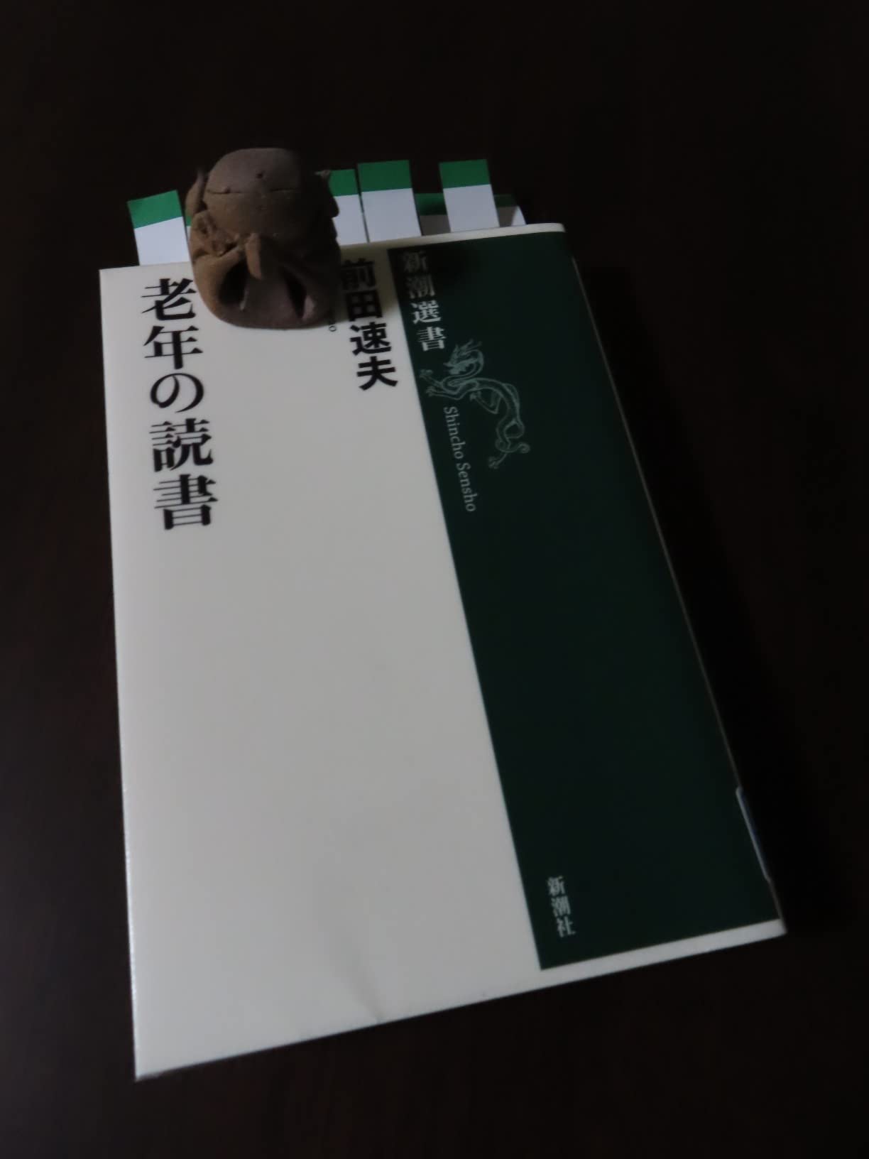 Amazon.co.jp: 老年の読書(新潮選書) : 前田 速夫: 本
