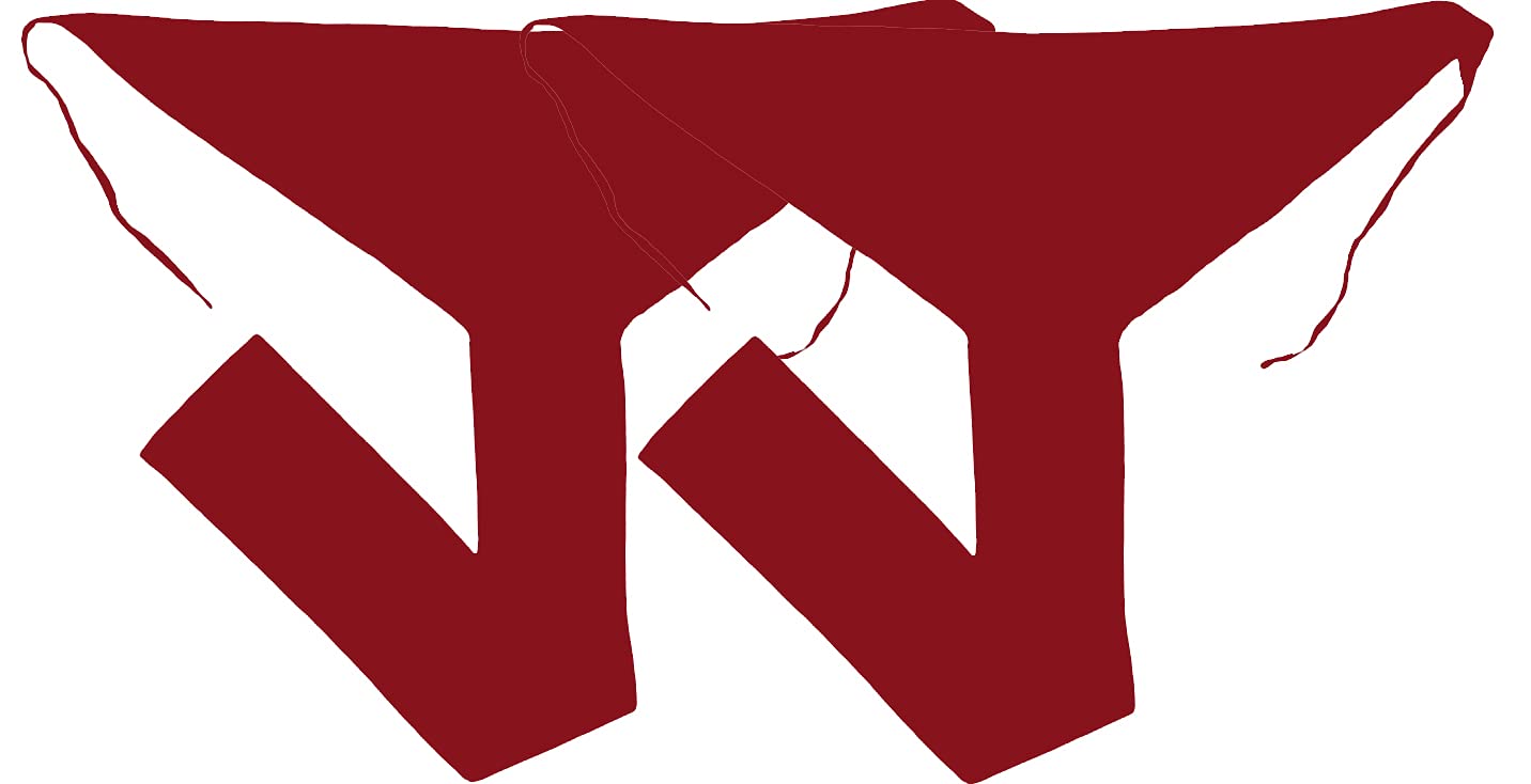 Surya Men's Cotton Indian Traditional Langot (Pack of 2) (Red_Free Size) for Gym,Yoga, Work Out, Running