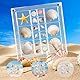 Pgtc Magnetische Acryl-Muschelvitrine,Schattenbox FüR Onyx, HaifischzäHne, Seesternschmuck, Muschelgeldose, KüStendekoration, Schatztruhe, Zimmer- Und Schlafzimmerdekoration
