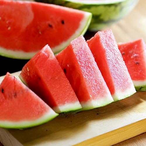 先行予約 尾花沢スイカ 秀品 Lサイズ 約6kg×1玉 7月中旬〜8月中旬頃発送 スイカ すいか 西瓜 尾花沢すいか 2026年産 令和8年産 佐竹物産 sb-su1xx1